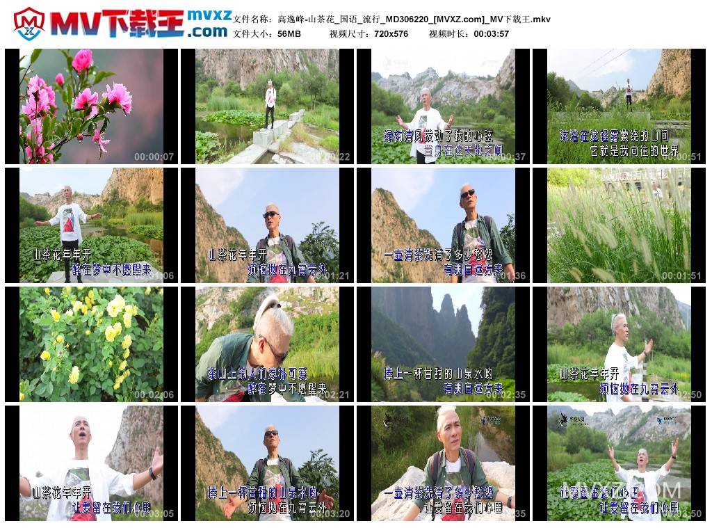 高逸峰-山茶花_国语_流行_MD306220